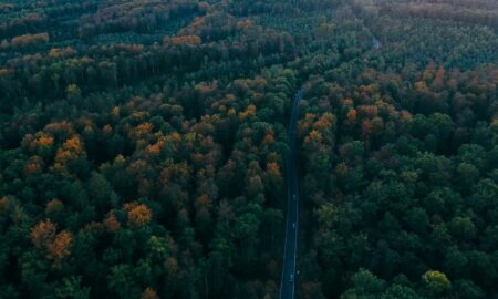 Explore the Black Forest for a Storybook Adventure