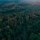 Explore the Black Forest for a Storybook Adventure