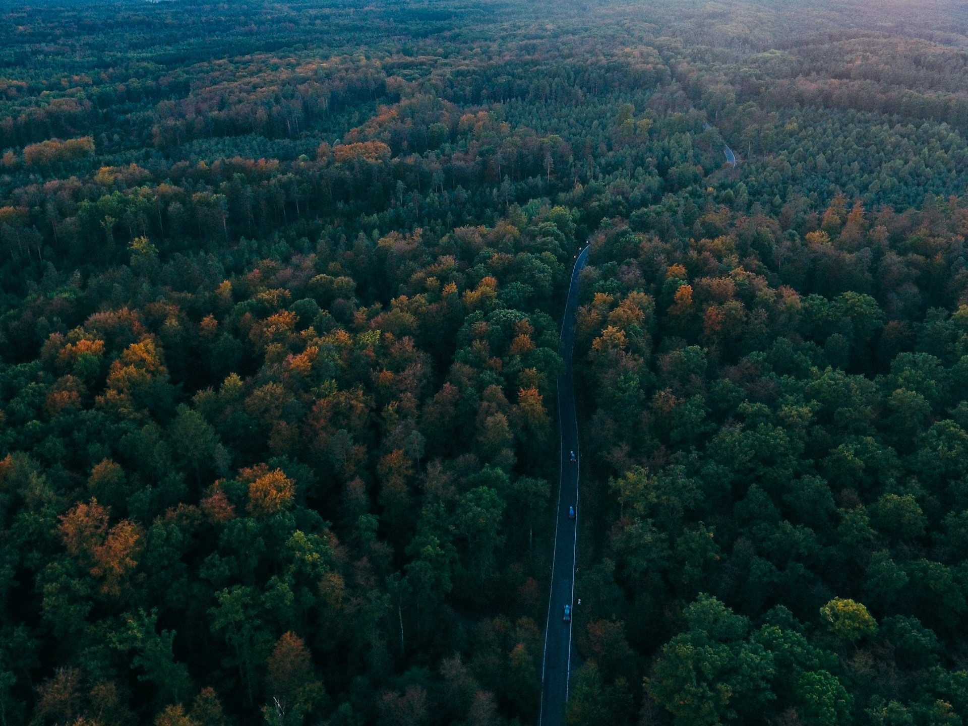 Explore the Black Forest for a Storybook Adventure